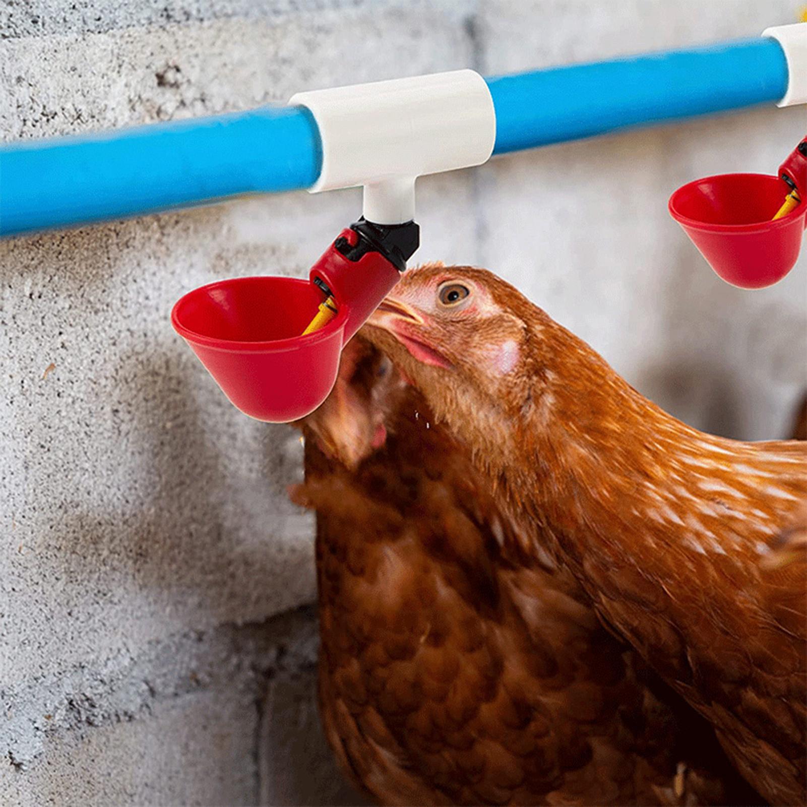 Chicken Nipple Drinker - Chicken Drinker PVC Tee Fittings 20pcs/set