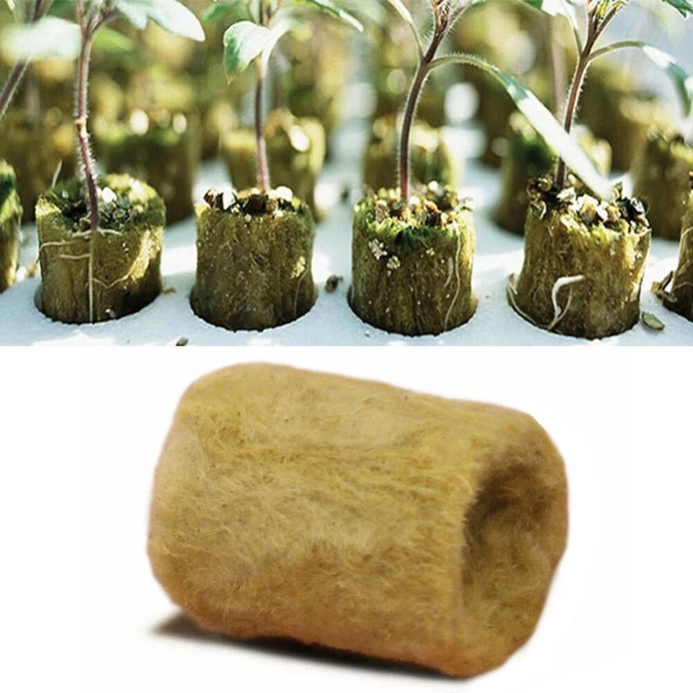 Nursery Plug Tray - 50PCS 27*20mm Size Hydroponic Seedling Block