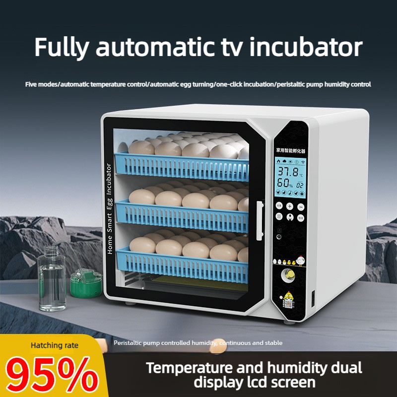 Quail Egg Incubator - Incubator Smart Incubation Box Small Household