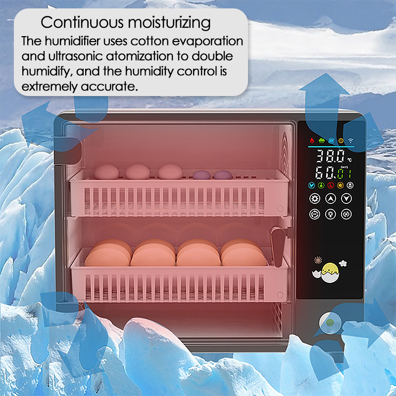 24 Eggs Full Automatic Turning - Quail Egg Incubator review and price