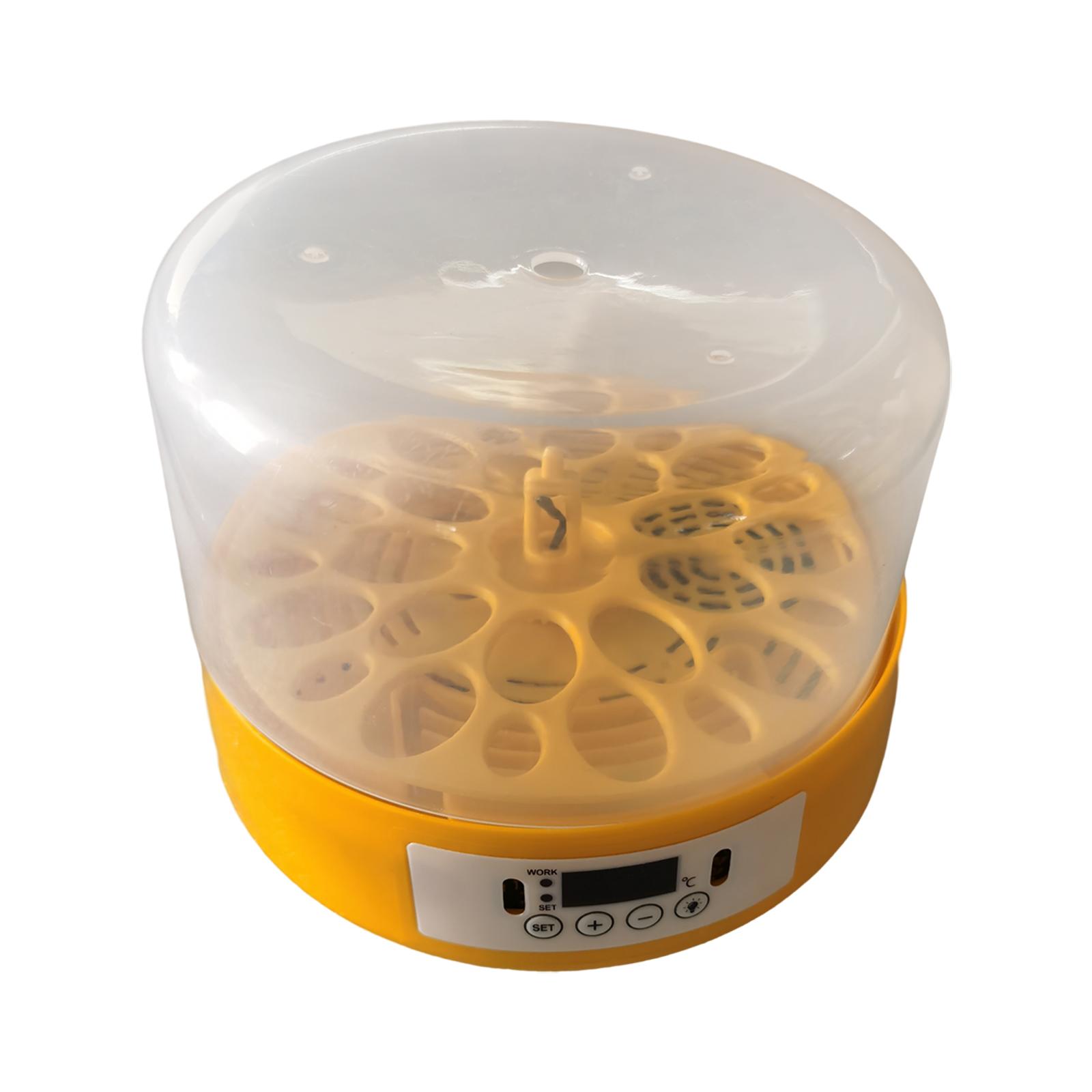 Egg Incubator Egg Turner Egg H - Quail Egg Incubator review and price
