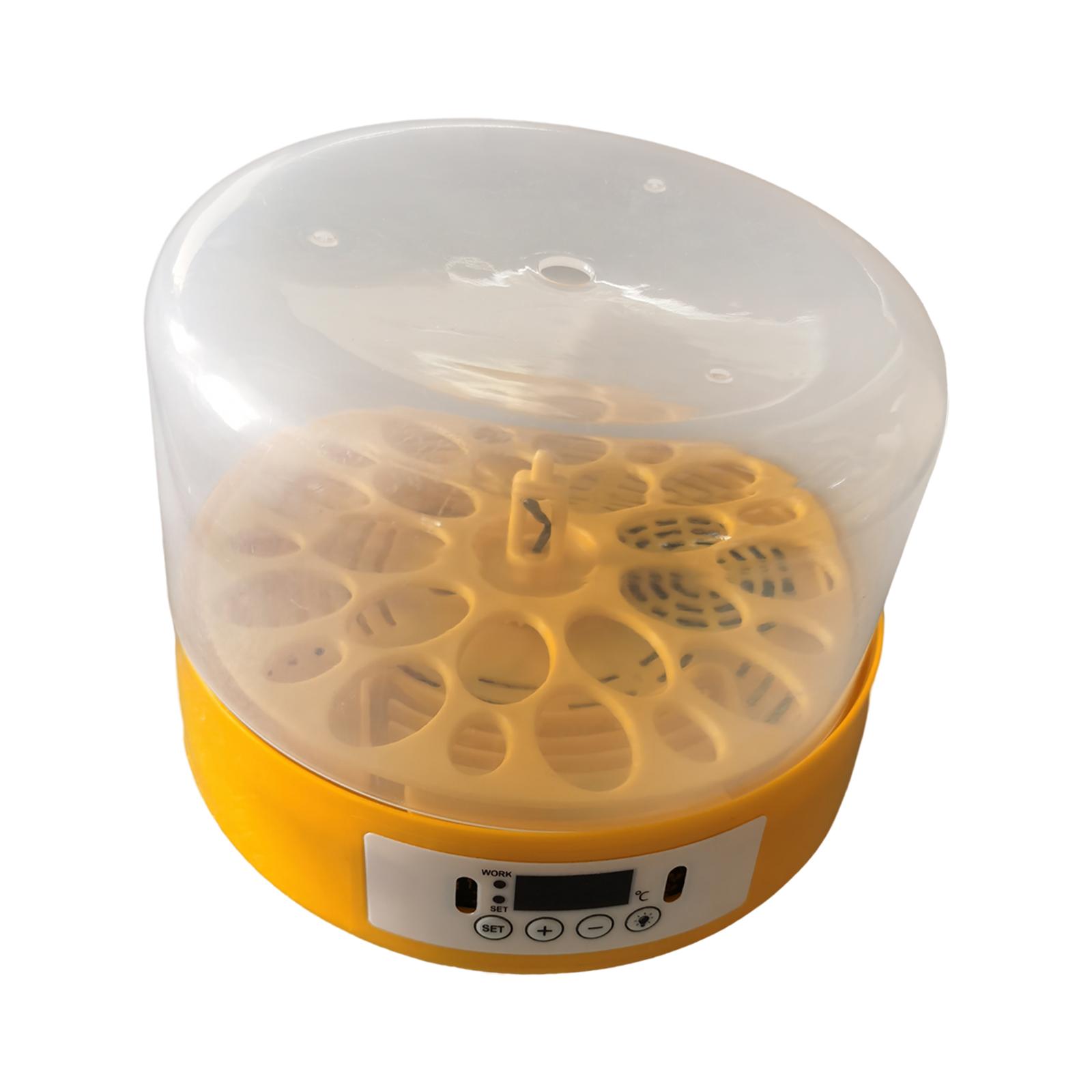 Egg Incubator Egg Turner Egg H - Quail Egg Incubator review and price