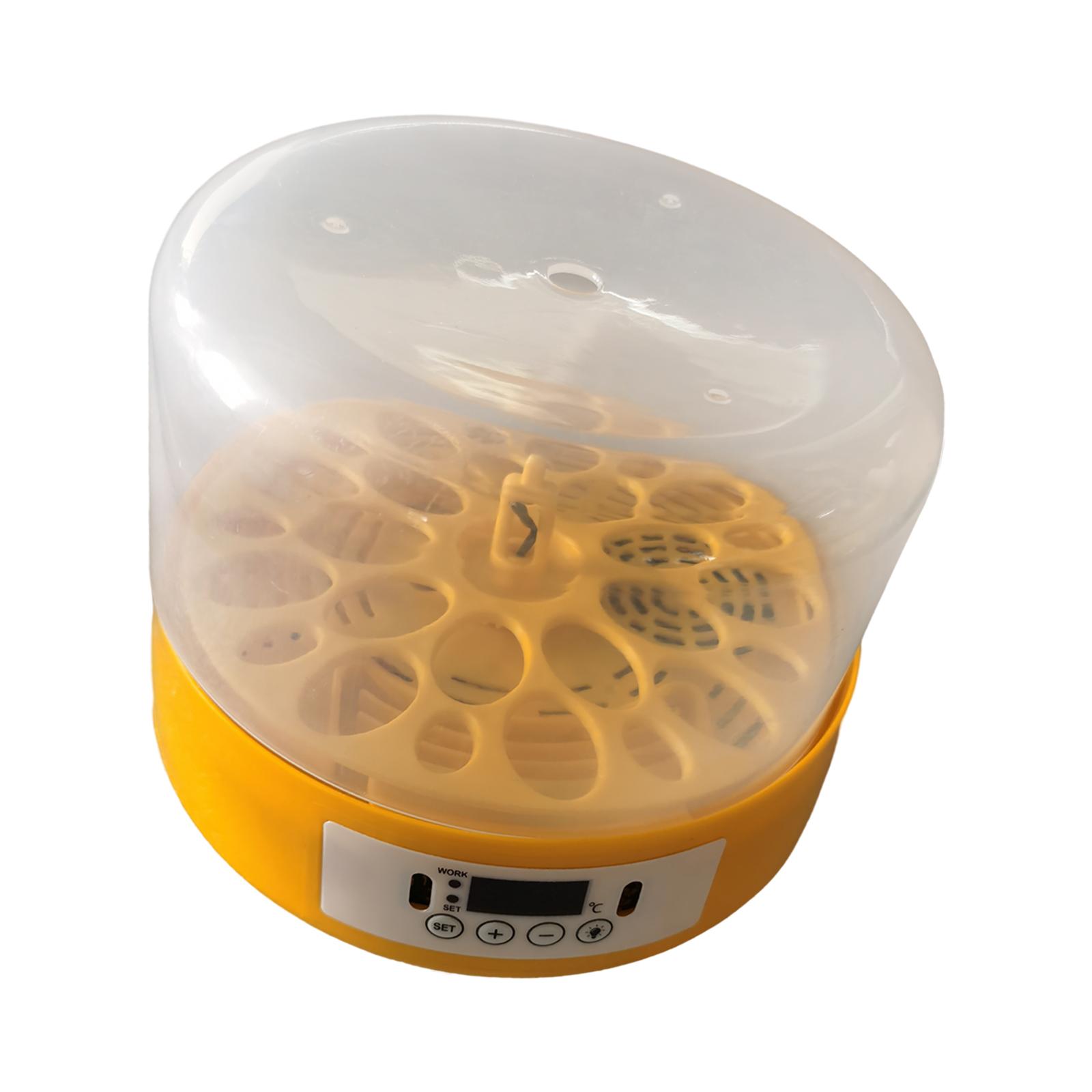 Egg Incubator Egg Turner Egg H - Quail Egg Incubator review and price