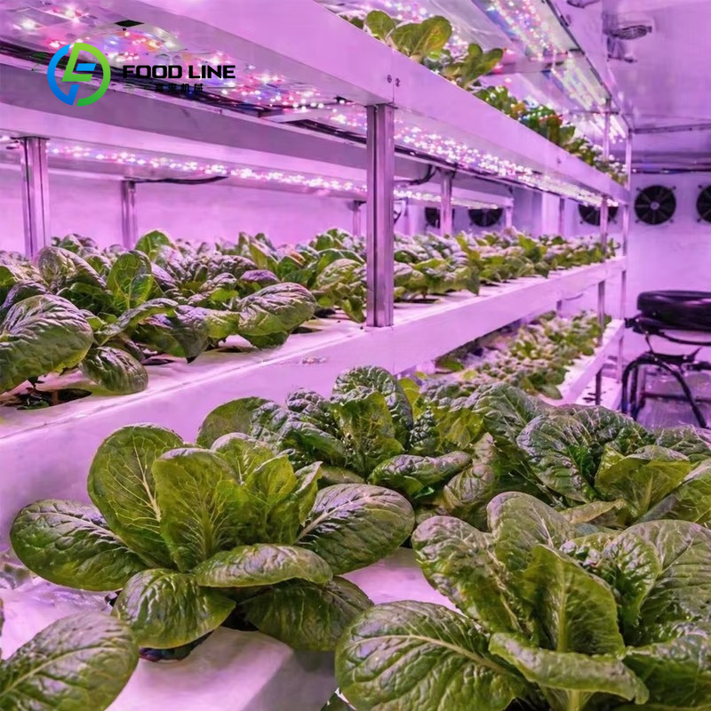 Hydroponic Container Farm for  - Farming Agriculture Project review and price
