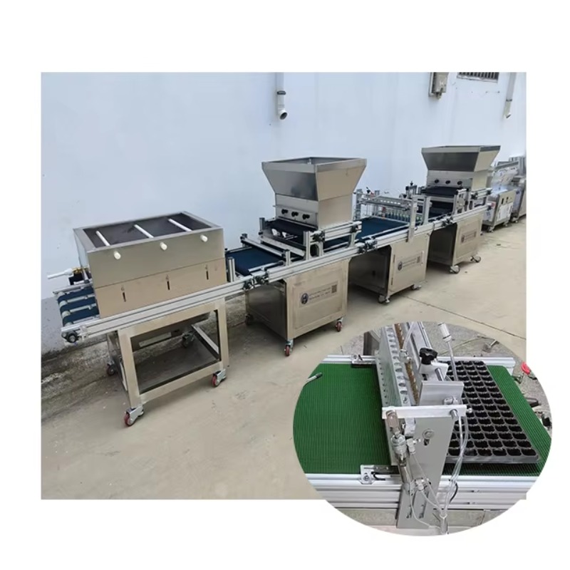 Automatic Plug Tray Seeding Ma - Nursery Plug Tray review and price