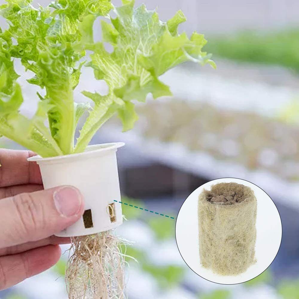 50PCS 27*20mm Size Hydroponic  - Nursery Plug Tray review and price
