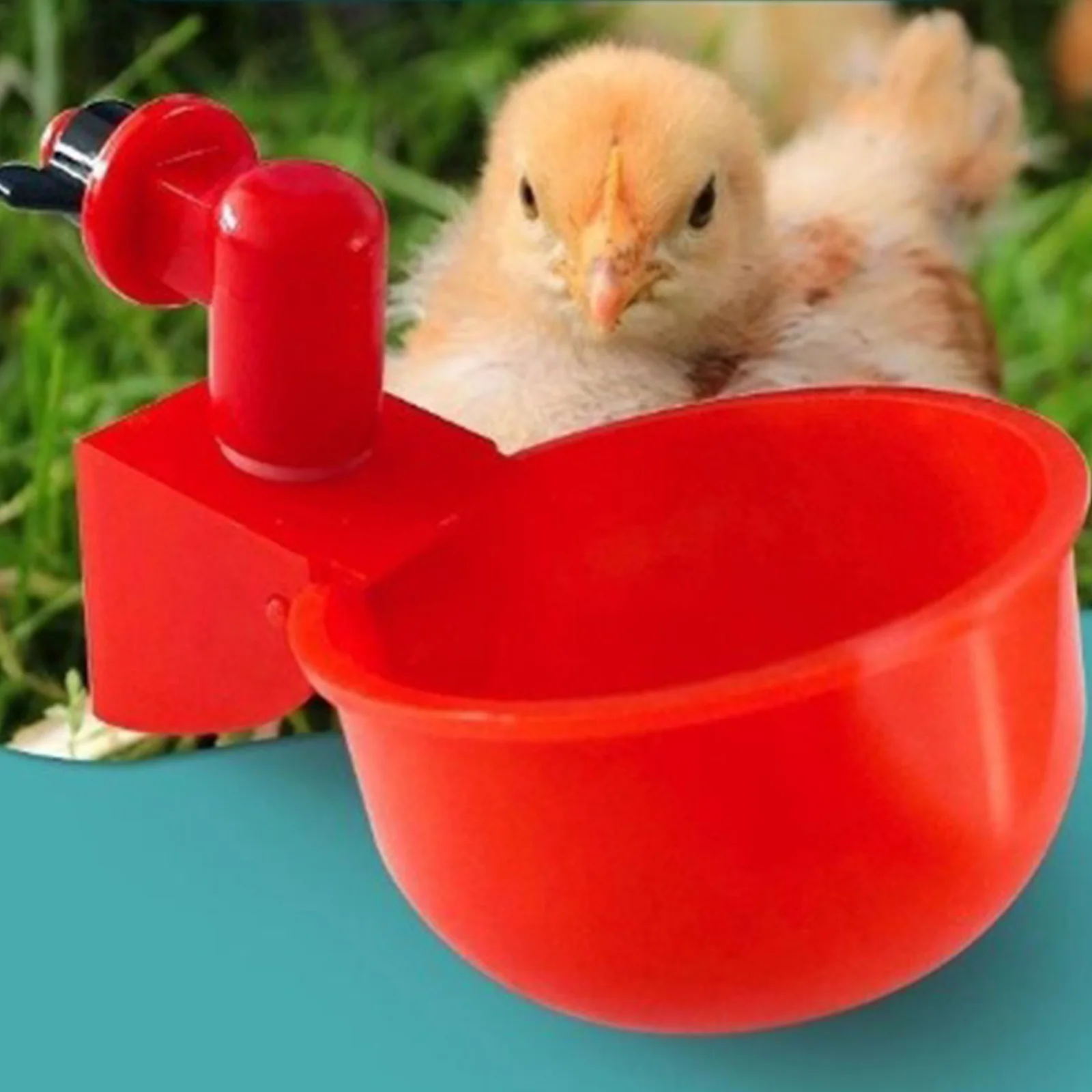 6-36Pcs Chicken Duck Drinking  - Chicken Nipple Drinker review and price