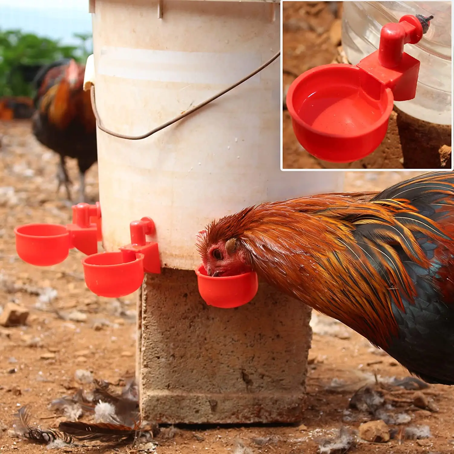 6-36Pcs Chicken Duck Drinking  - Chicken Nipple Drinker review and price