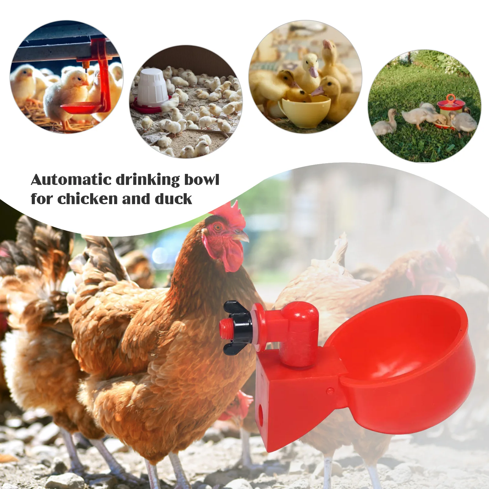 6-36Pcs Chicken Duck Drinking  - Chicken Nipple Drinker review and price