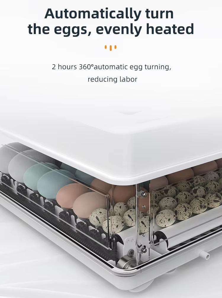 Fully Automatic 130 Capacity E - Quail Egg Incubator review and price