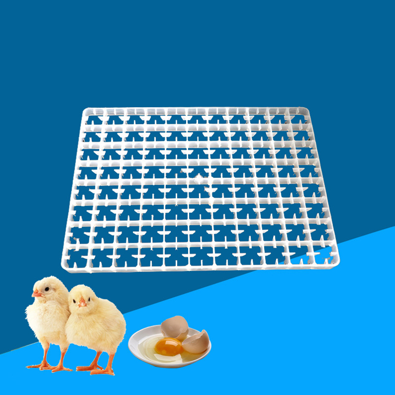 1Pcs Egg Tray For Incubator Au - Quail Egg Incubator review and price