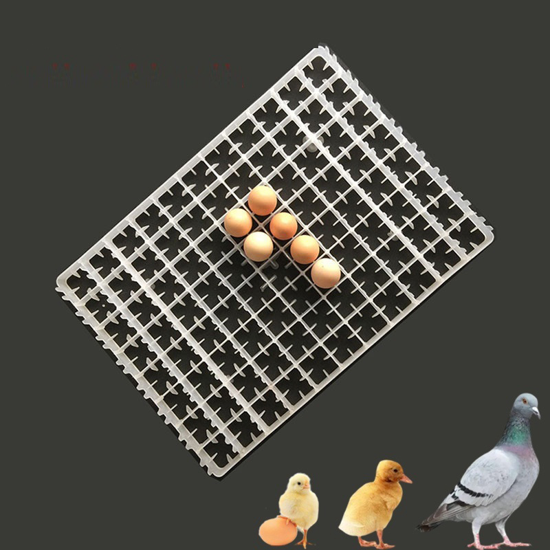 1Pcs Egg Tray For Incubator Au - Quail Egg Incubator review and price