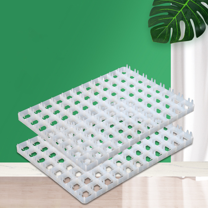 1Pcs Egg Tray For Incubator Au - Quail Egg Incubator review and price