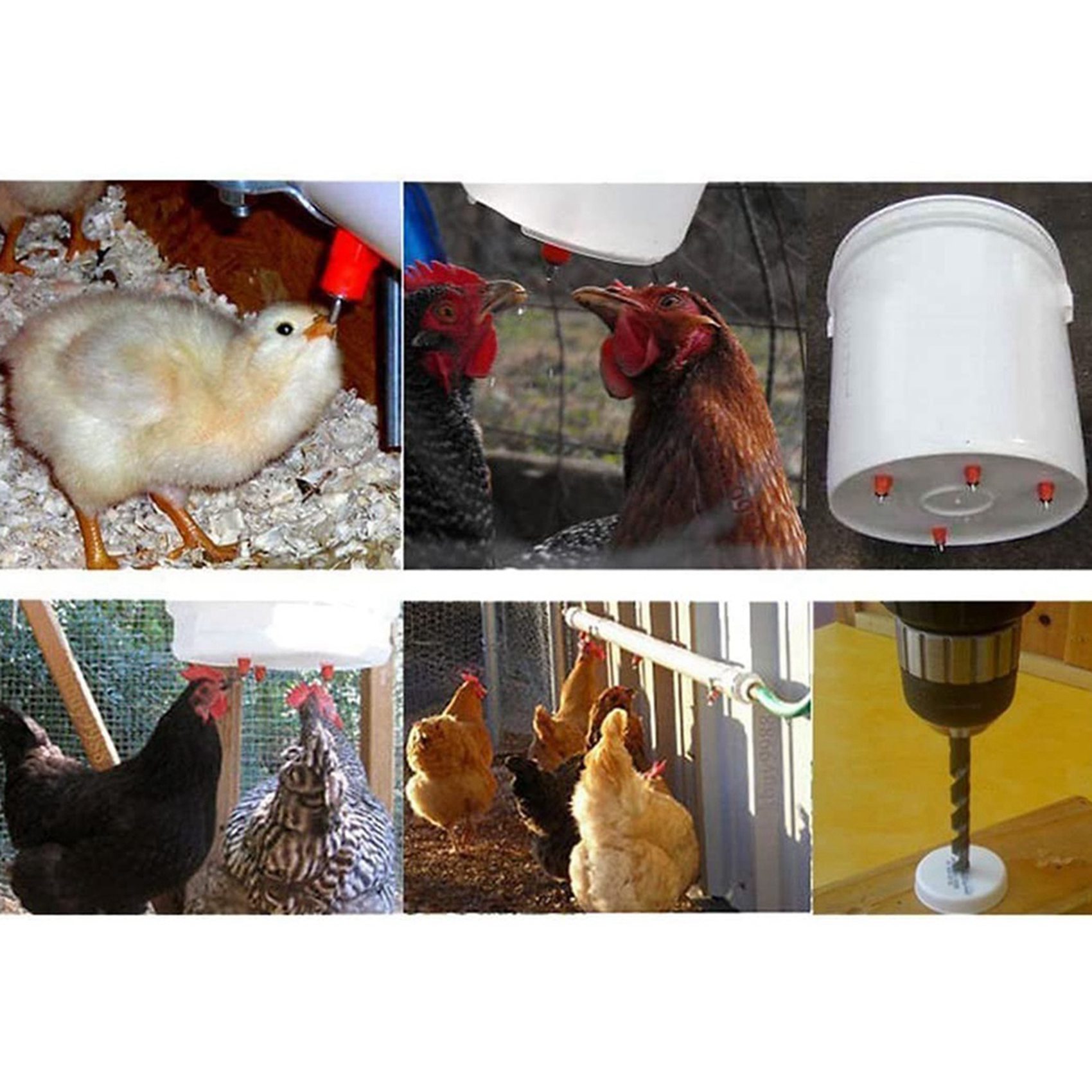 150Pcs Poultry Chicken Nipple  - Chicken Nipple Drinker review and price