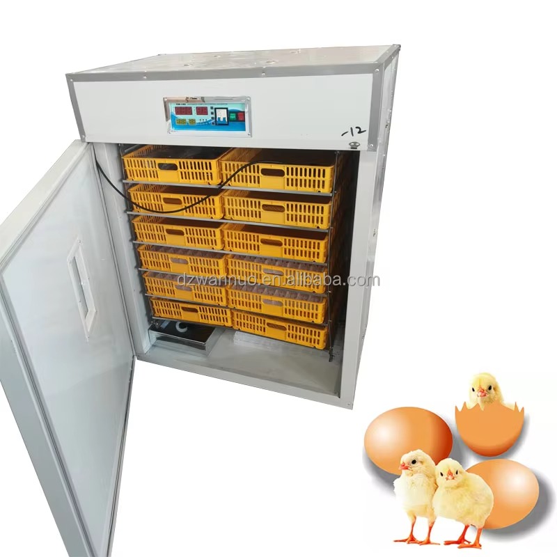 Wholesale New Full-automatic I - Quail Egg Incubator review and price