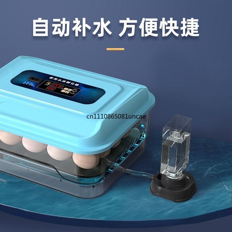 For Household Water Bed Egg In - Quail Egg Incubator review and price