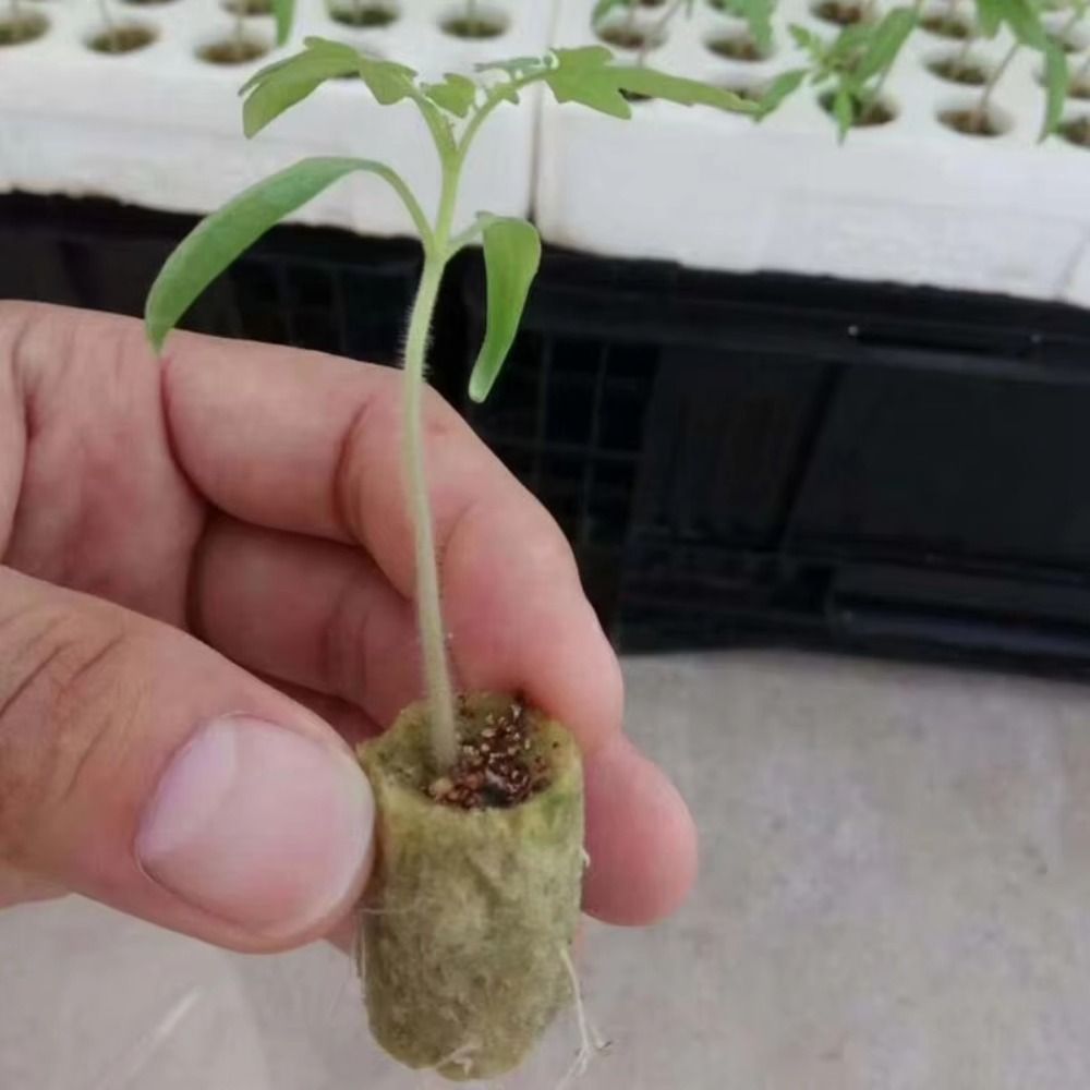 50PCS 27*20mm Size Hydroponic  - Nursery Plug Tray review and price