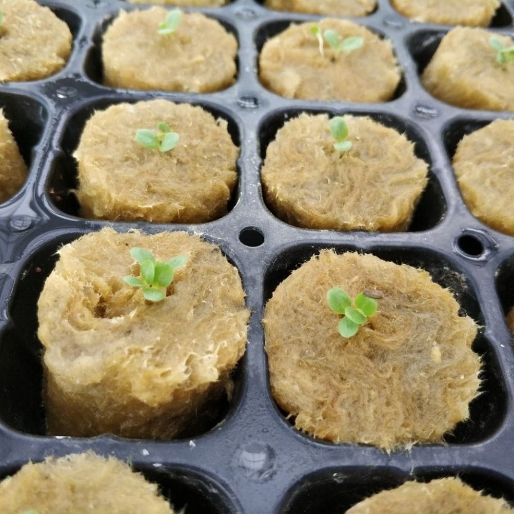 50PCS 27*20mm Size Hydroponic  - Nursery Plug Tray review and price