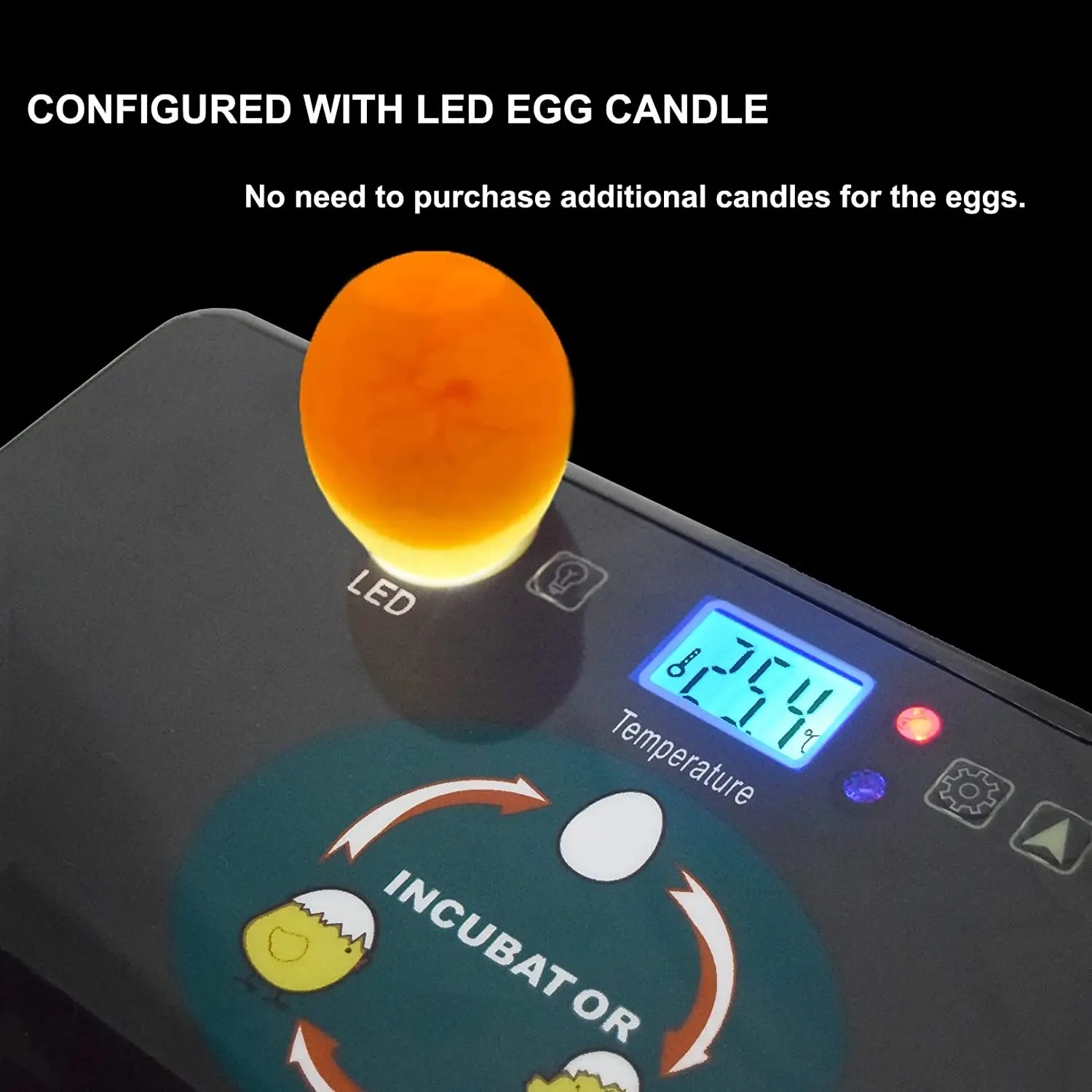 Automatic HHD Best Digital 12  - Quail Egg Incubator review and price