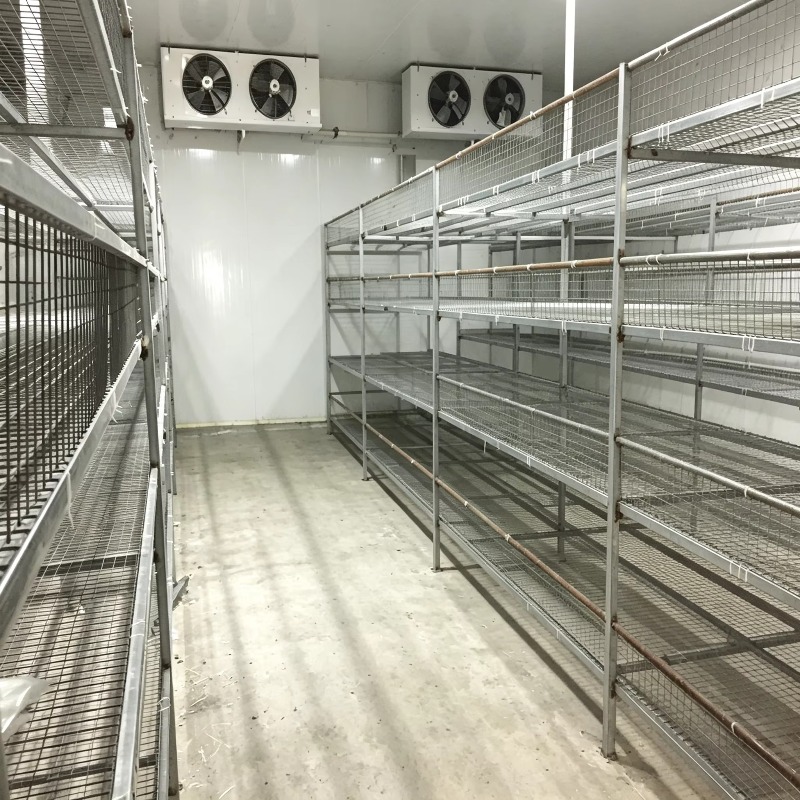 Hydroponic Container Farm with - Farming Agriculture Project review and price