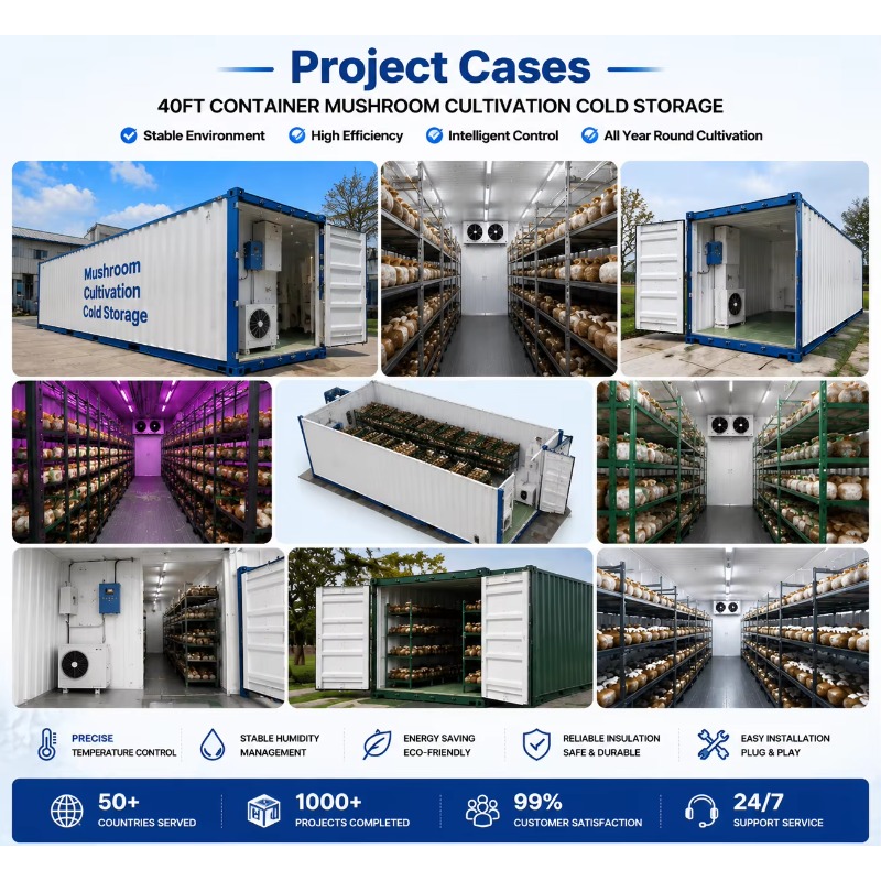 Hydroponic Container Farm with - Farming Agriculture Project review and price