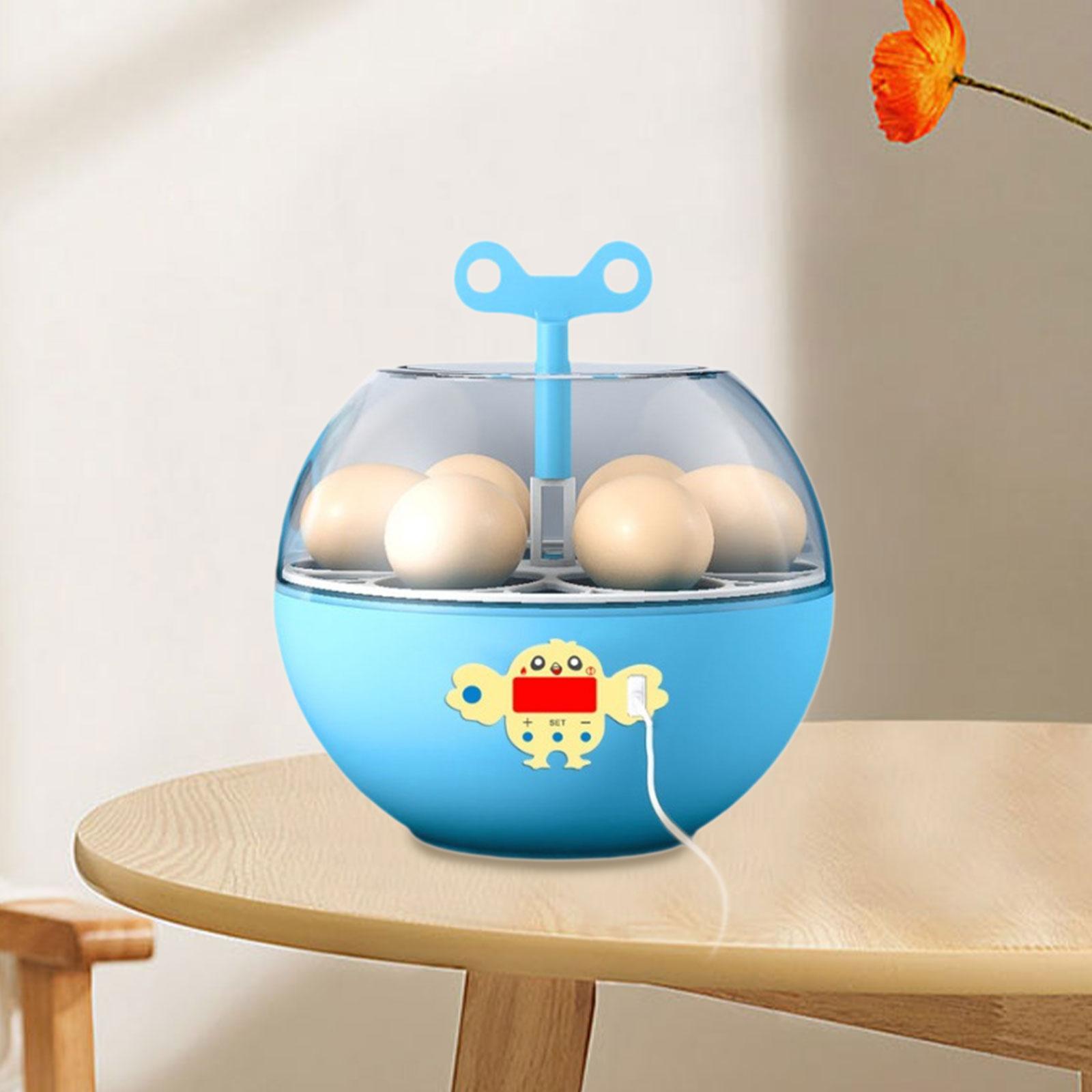 6 Eggs Incubator Mini Visible  - Quail Egg Incubator review and price