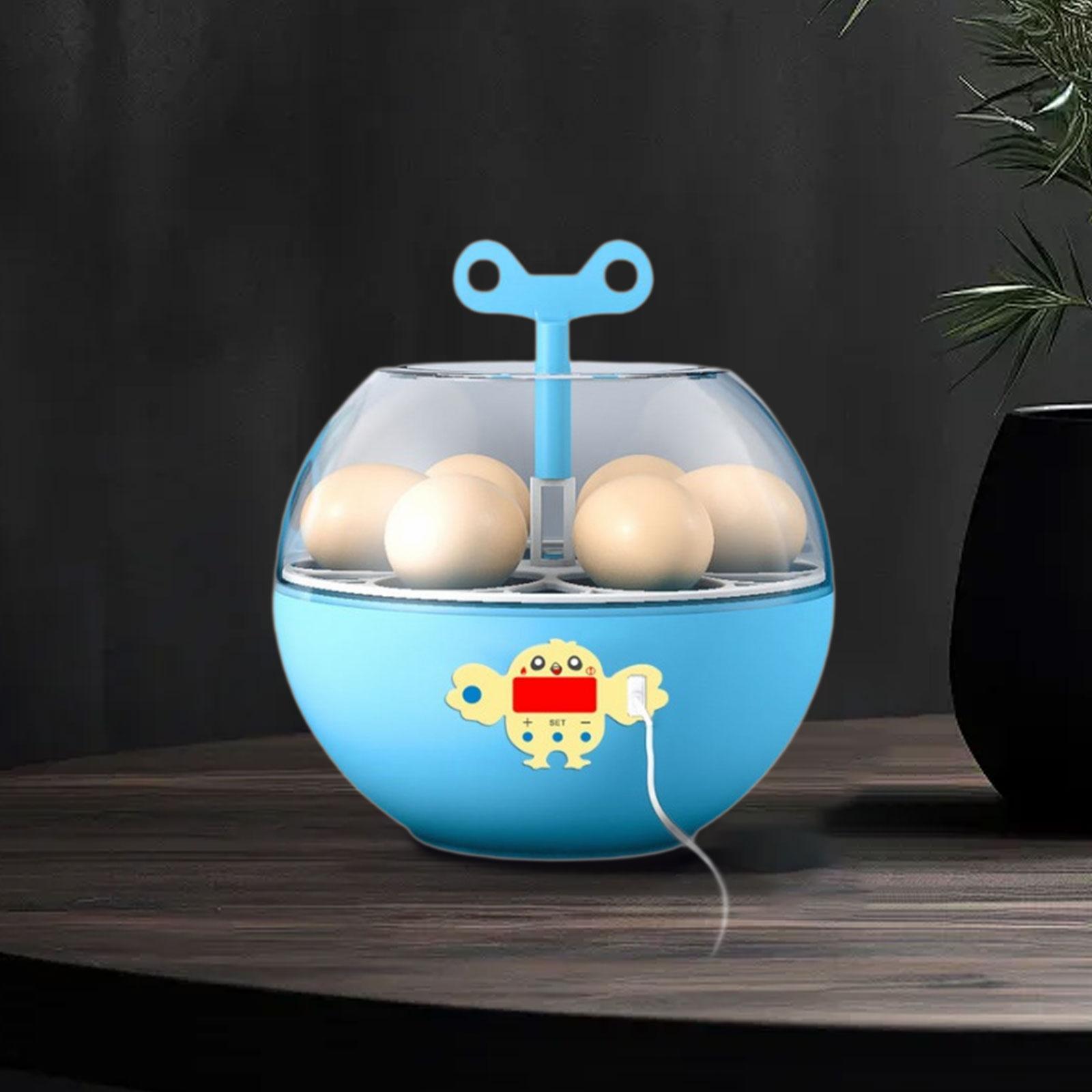 6 Eggs Incubator Mini Visible  - Quail Egg Incubator review and price