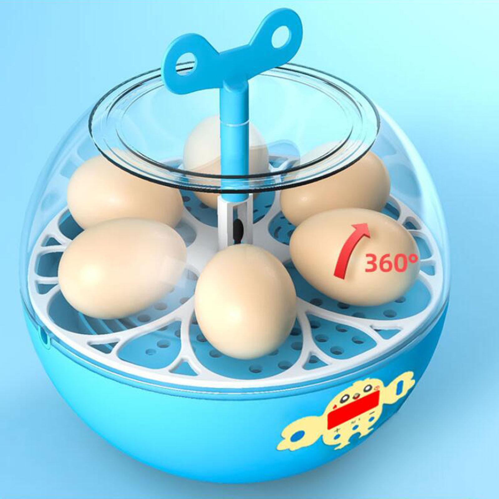 6 Eggs Incubator Mini Visible  - Quail Egg Incubator review and price