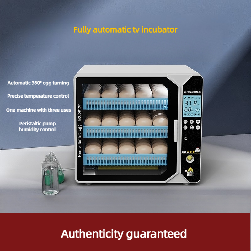 Incubator Smart Incubation Box - Quail Egg Incubator review and price