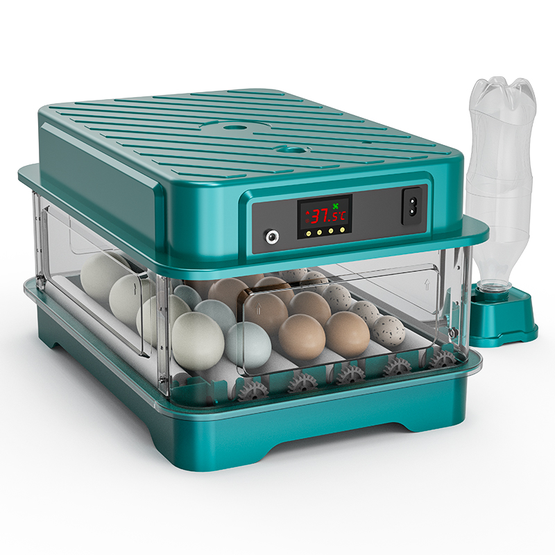 Fully Automatic  Chicken Quail - Quail Egg Incubator review and price
