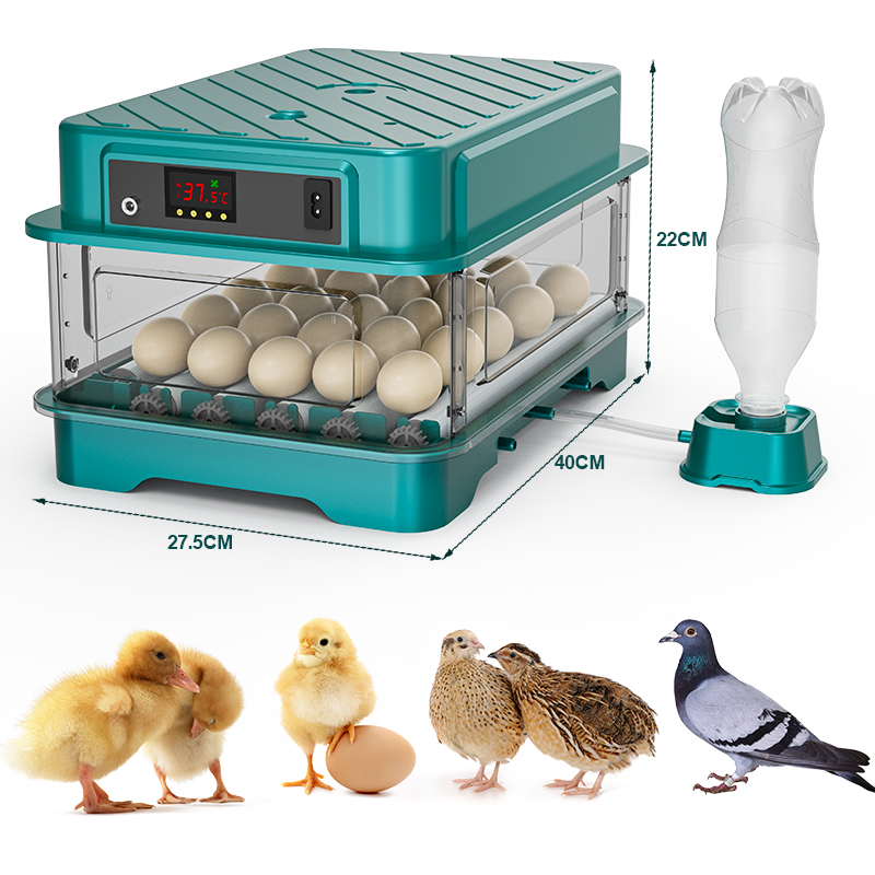 Fully Automatic  Chicken Quail - Quail Egg Incubator review and price