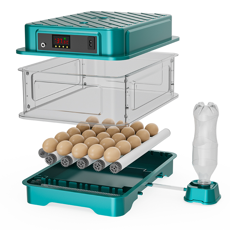 Fully Automatic  Chicken Quail - Quail Egg Incubator review and price