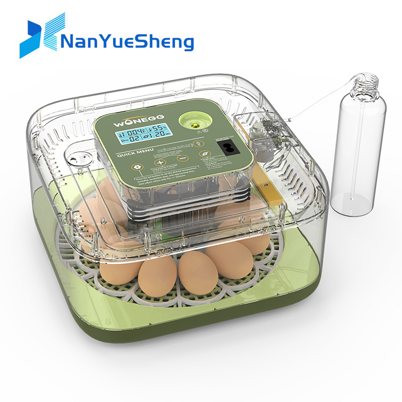 New 12 Chick egg Hatchery mach - Quail Egg Incubator review and price