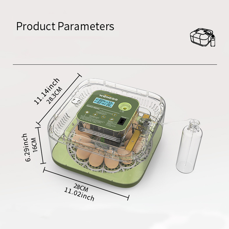 New 12 Chick egg Hatchery mach - Quail Egg Incubator review and price
