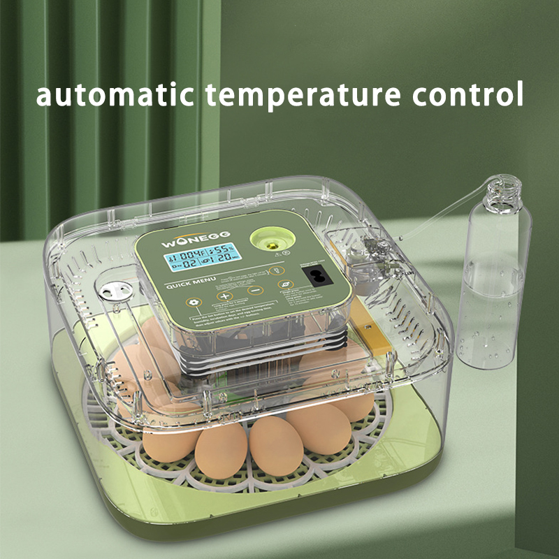 New 12 Chick egg Hatchery mach - Quail Egg Incubator review and price