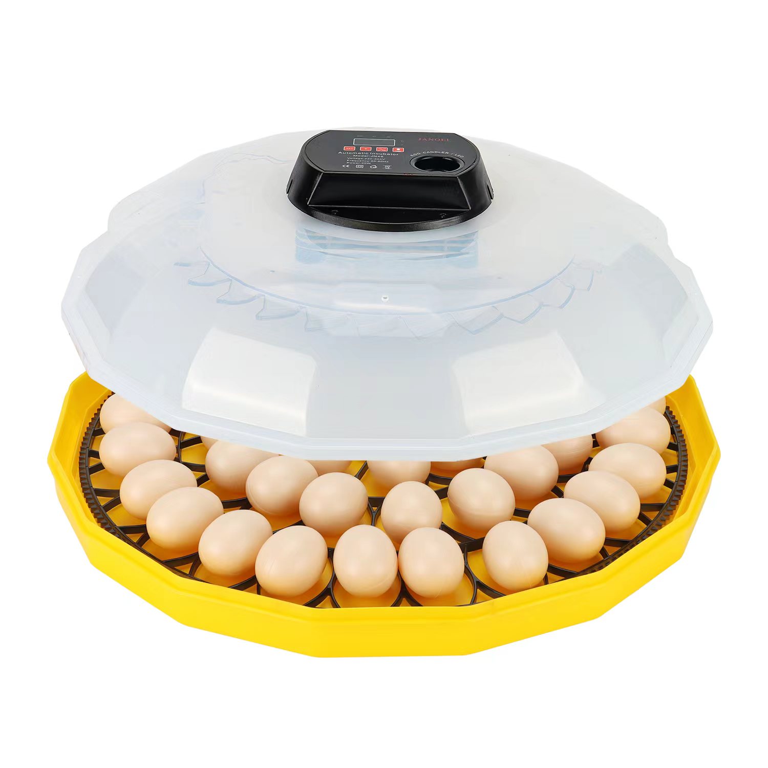 Mini Egg Incubator with 99% Ha - Quail Egg Incubator review and price