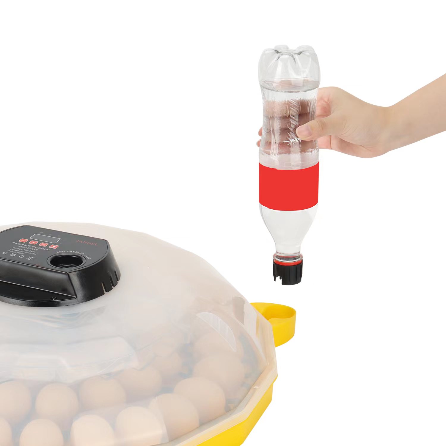 Mini Egg Incubator with 99% Ha - Quail Egg Incubator review and price