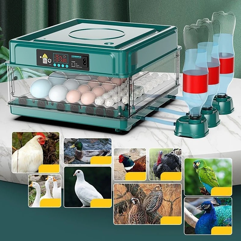 12 24 38 Eggs Incubator Auto T - Quail Egg Incubator review and price