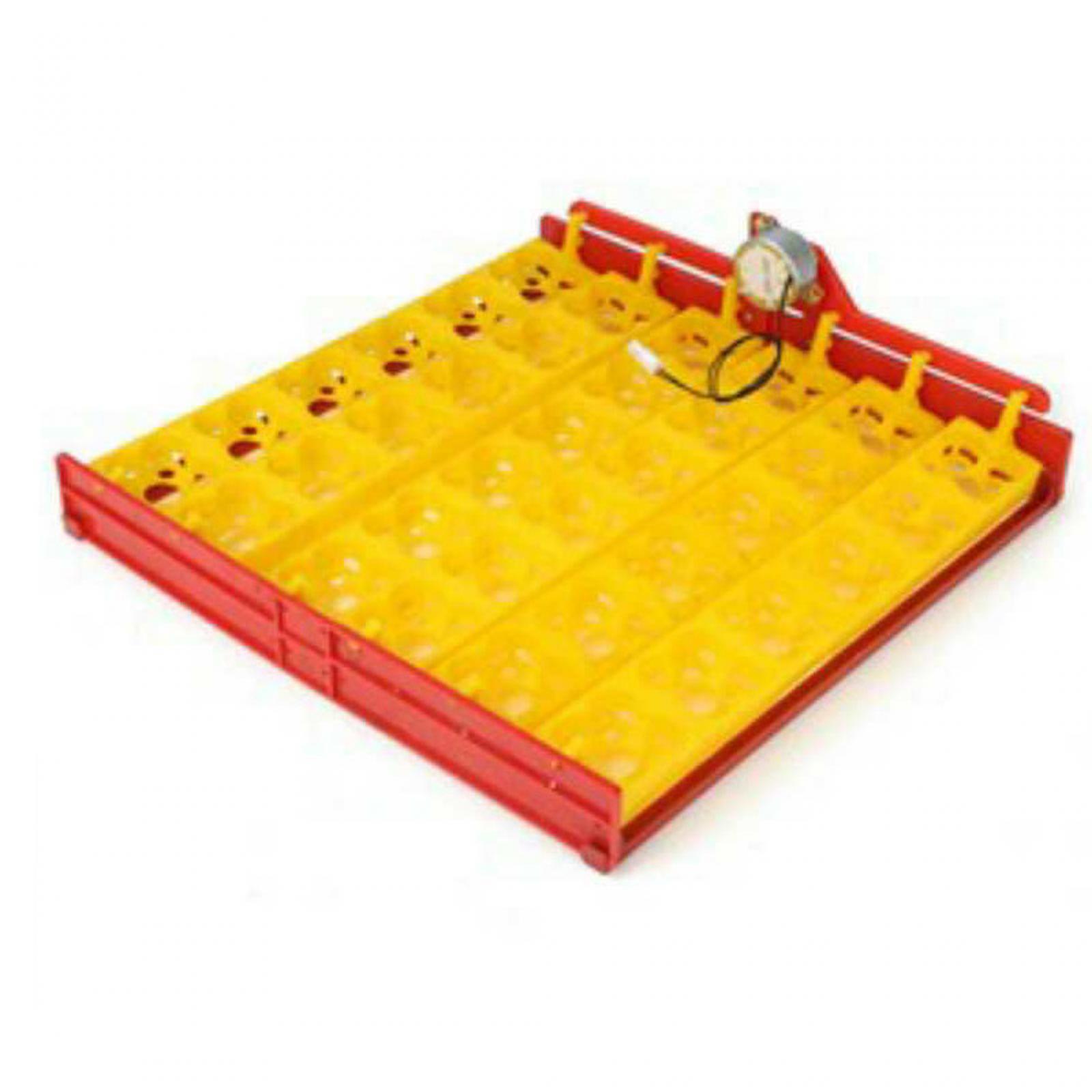 Egg Incubator Tray Plastic Aut - Quail Egg Incubator review and price
