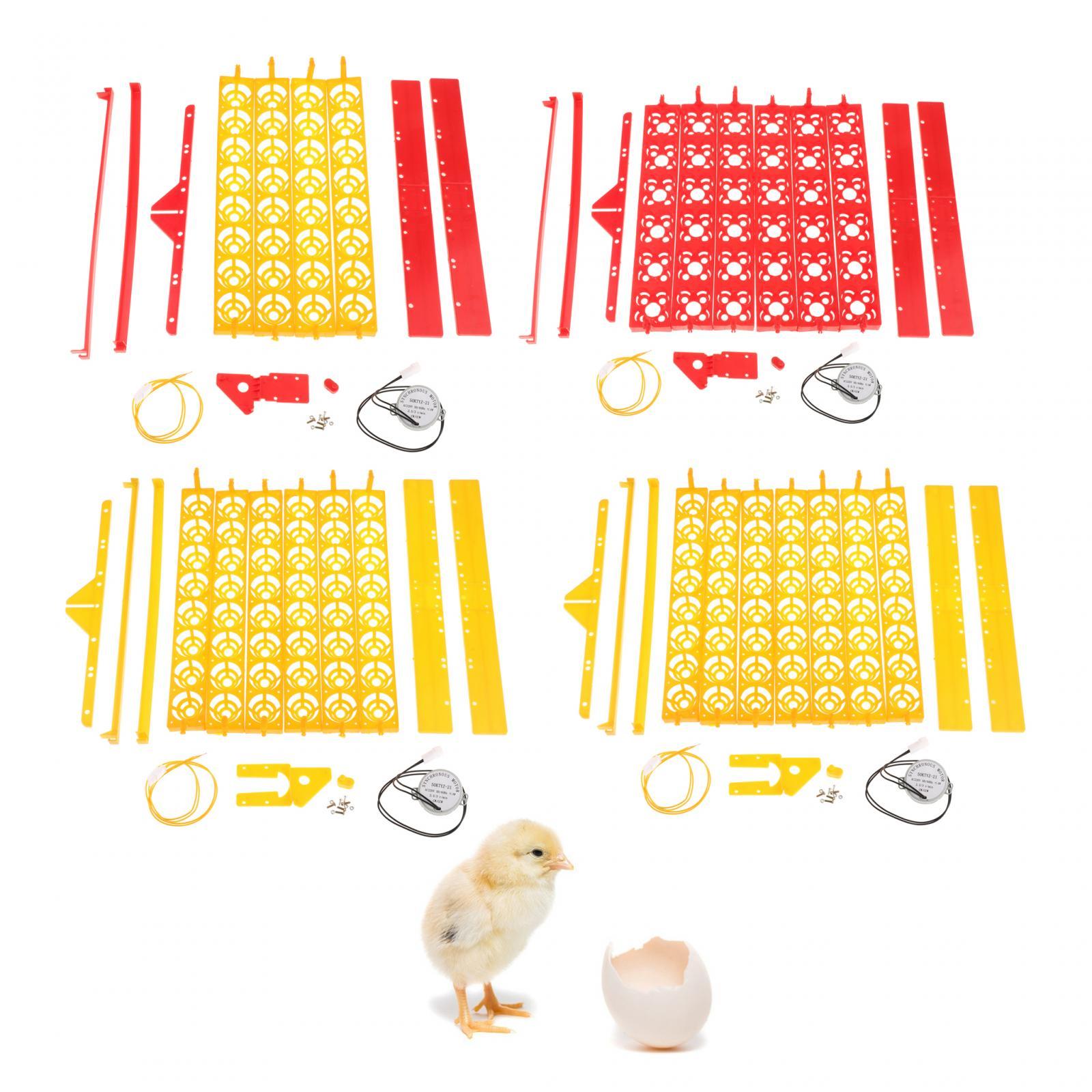 Egg Incubator Tray Plastic Aut - Quail Egg Incubator review and price